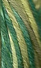 CLASS - 1108 Jungle green image