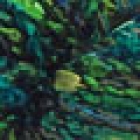 Litoral 1327 Jungle Green image