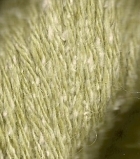 Artesanal  / 0036 Celery image