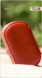 Buddy Case / Rautt image